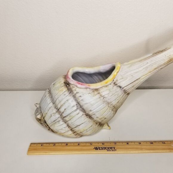 UNIQUE Conch Shell Planter Nautical Sealife Coastal Beach House Decor Italy 36/2 - Picture 10 of 12